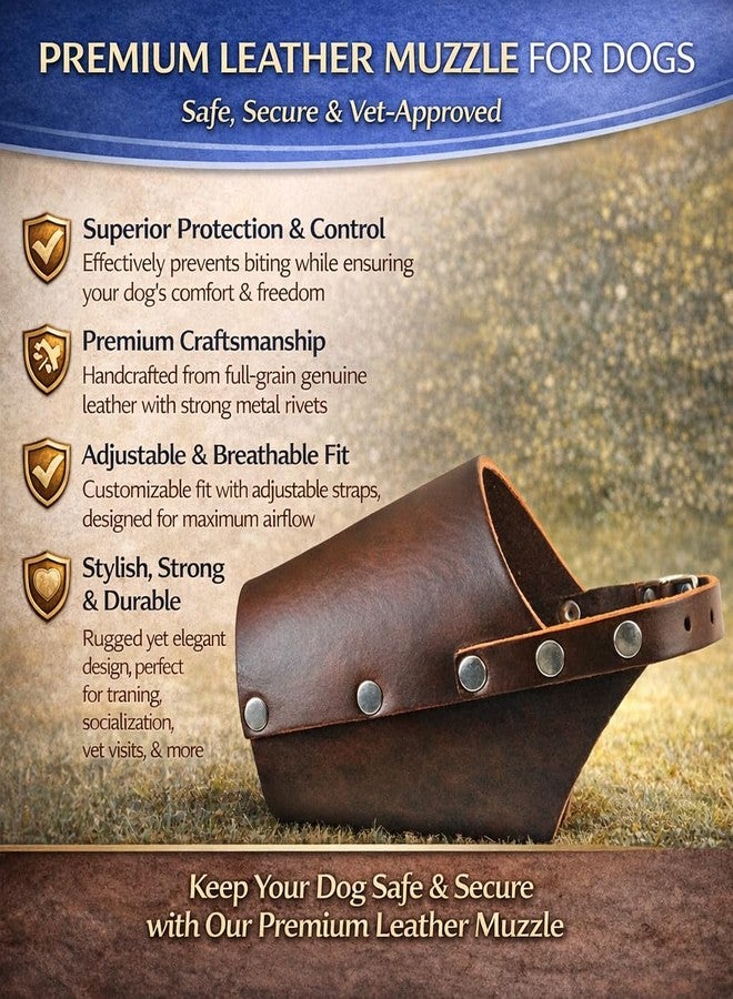 JorVet Leather Muzzle for Dog | Comfortable & Durable to Prevent Biting | Vet-Approved for Safety | Adjustable & Secure Fit | Small | Brown - Image 3